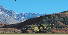 Mountain Picture